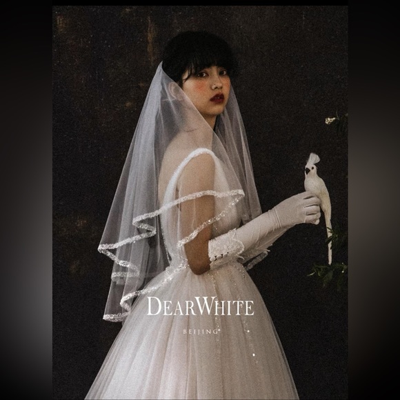 Veil - Picture 1 of 3